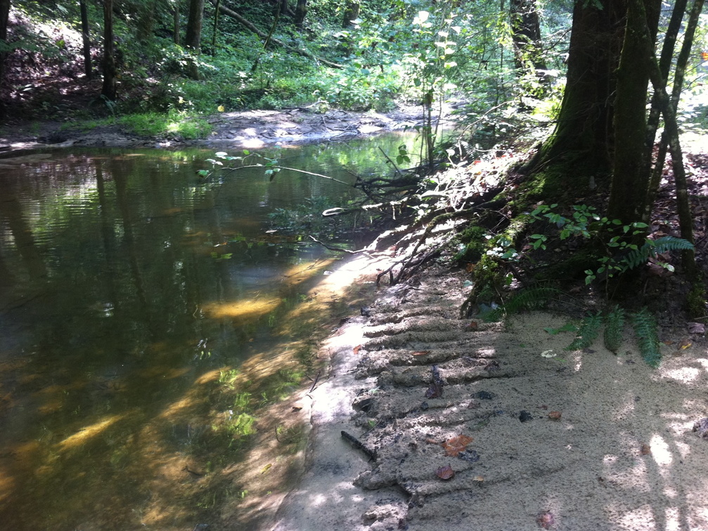 Sheltowee Trace, Red River Gorge